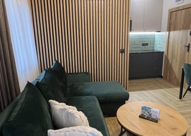 dobrze zaprojektowane apartament nad morzem architekt wnętrz gdańsk sopot gdynia wejherowo rumia reda (2)